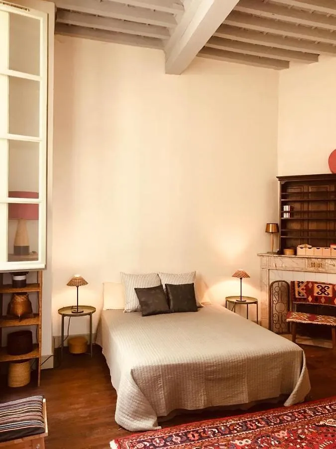 Palais Des Papes: Historic Mansion Apartment with Free Nearby Parking Avignon France