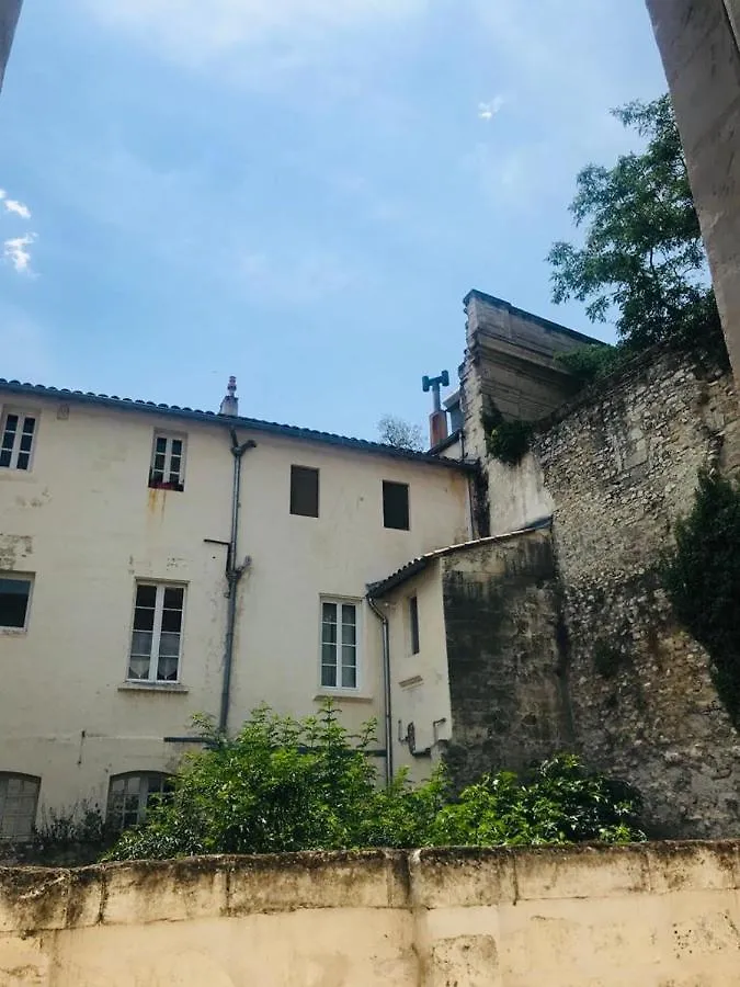 Palais Des Papes: Historic Mansion Apartment with Free Nearby Parking Avignon France