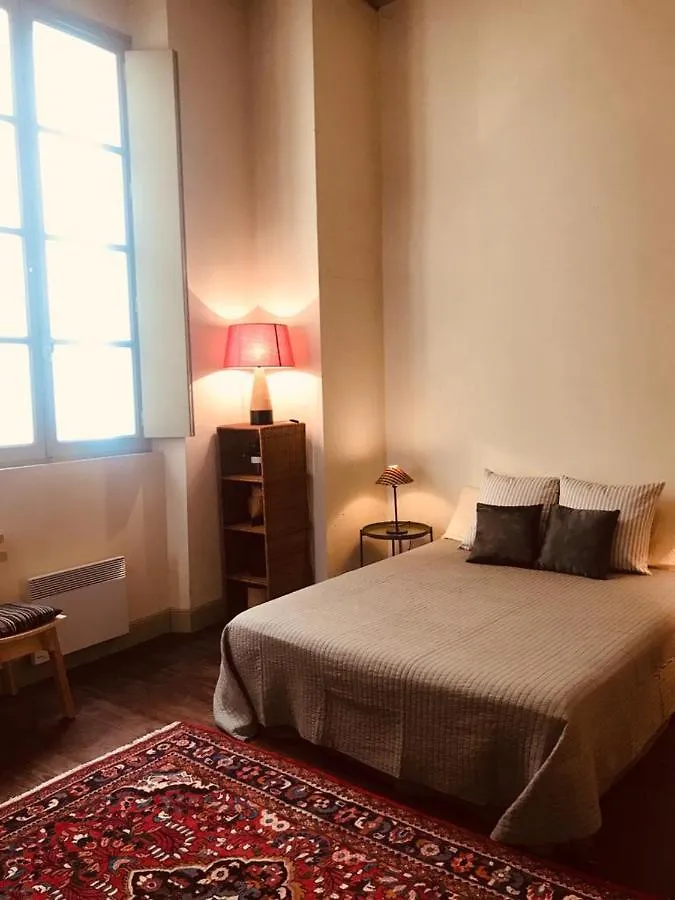 Palais Des Papes: Historic Mansion Apartment with Free Nearby Parking Avignon