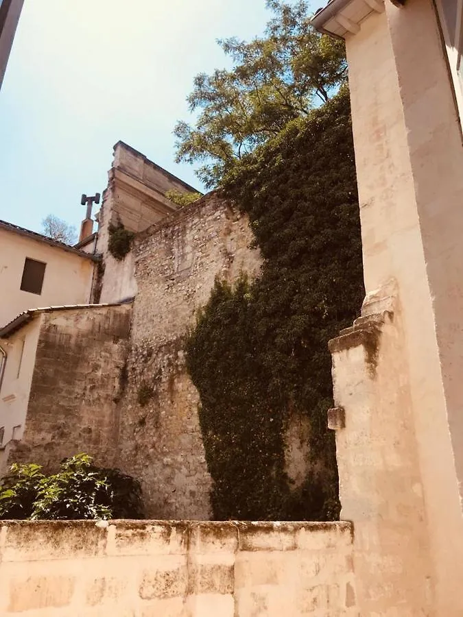 Palais Des Papes: Historic Mansion Apartment with Free Nearby Parking Avignon